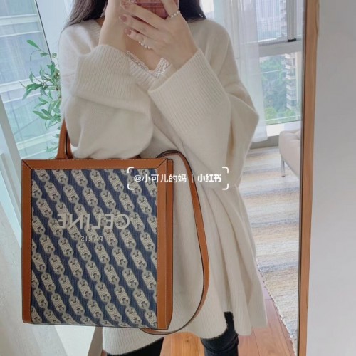 Celine TEEN TRIOMPHE TAS IN TRIOMPHE CANVAS EN KALFSLEER CL91041 blauw