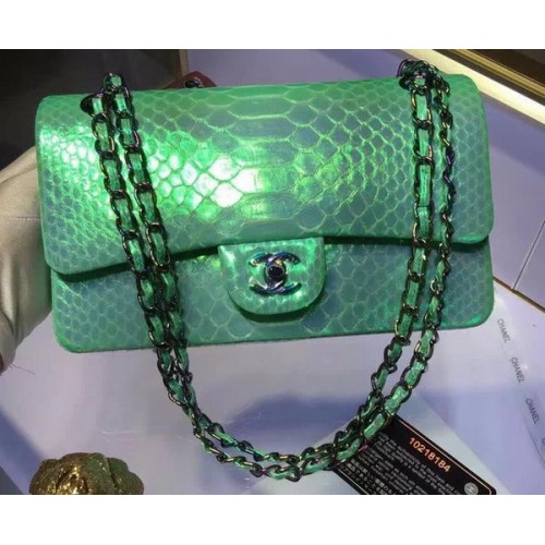 Chanel 2.55 Serie Flap Bags Origineel Slangenleer A1112 Groen
