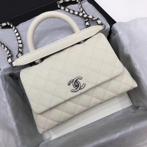 Chanel Classic Top Handle Bag Wit Cannage Patroon A92290 Zilver
