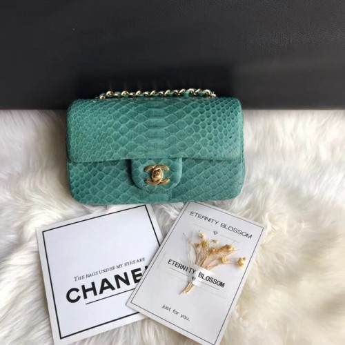 Chanel Mini Flap Bag Python Goudkleurig Metaal A69900 groen