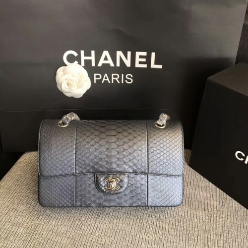 Chanel originele python lederen schoudertas CF1112H