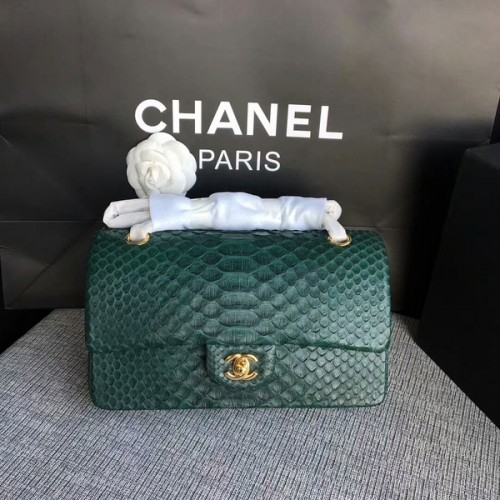 Chanel originele python lederen schoudertas CF1112X