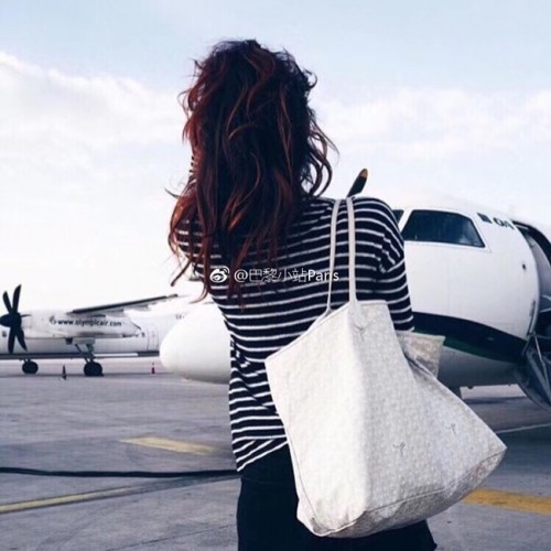 Goyard kalfsleren draagtas 6783 wit