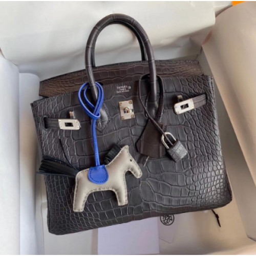Hermes Birkin 25CM draagtas origineel krokodillenleer H25TCO grijs