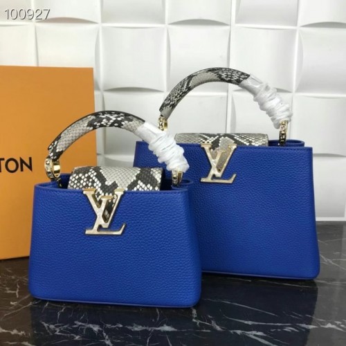 Louis Vuitton CAPUCINES MINI M99676 blauw