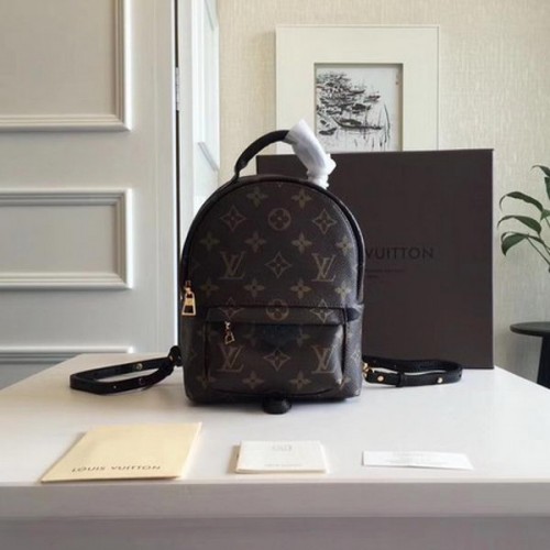 Louis Vuitton Monogram Canvas PALM SPRINGS RUGZAK MINI M41562