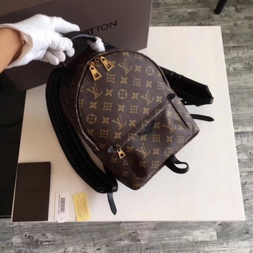 Louis Vuitton Monogram Canvas PALM SPRINGS RUGZAK PM M41560