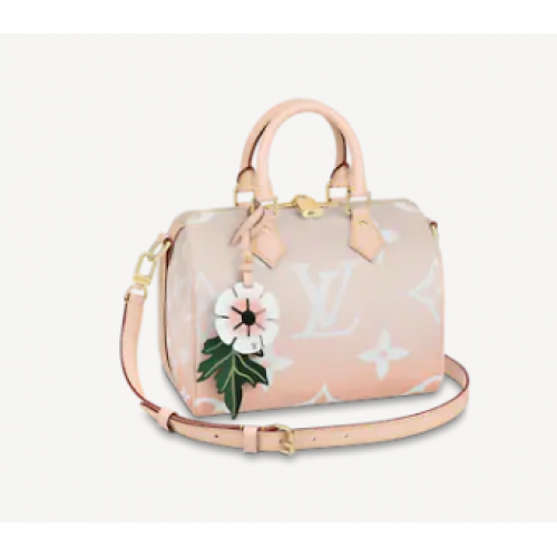 Louis Vuitton SNELLE BANDOULIERE 25 M45722 Brume grijs