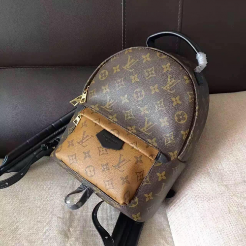 Louis Vuitton Monogram Canvas Palm Springs Rugzak Mini M41562