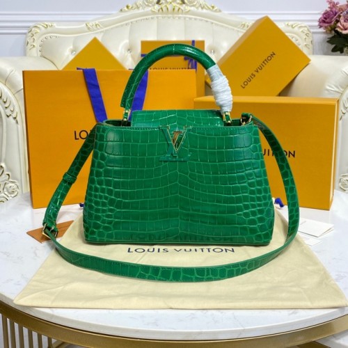 Louis Vuitton krokodillenleer CAPUCINES M48866 groen