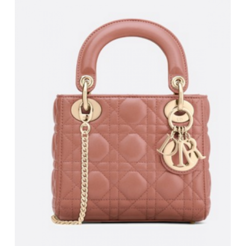 MINI LADY DIOR-TAS VAN ROZE LAMSLEER M398