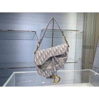 ZADELTAS Dior Oblique geborduurd fluweel C0044 grijs