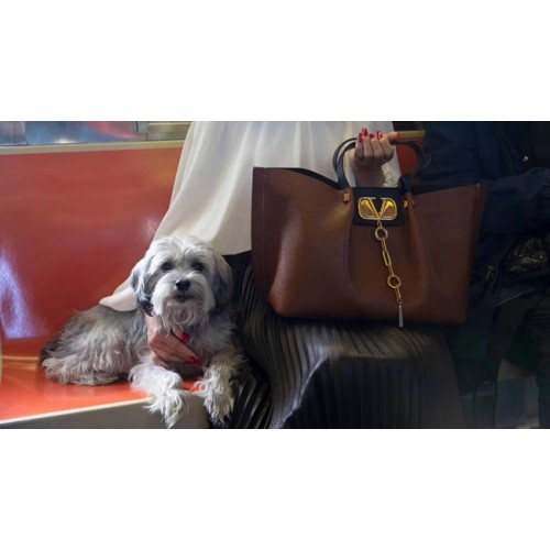 VALENTINO Originele leren tas 2080 bruin